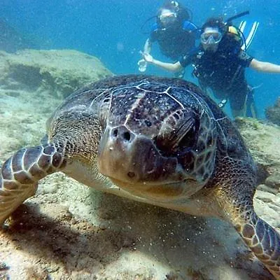 Apartamento Ayia Napa Studio Ayia Napa