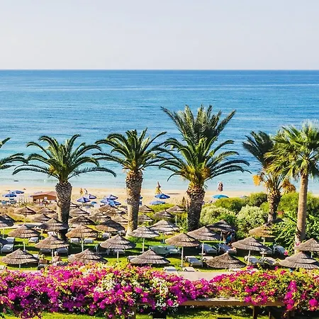 Ayia Napa Studio Lägenhet *